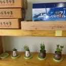 다올협동조합 이미지