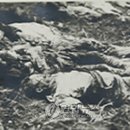 거창-신원-5 이미지