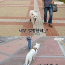 호돌이농장 이미지