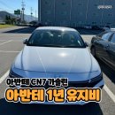 현대자동차블루핸즈 탕정점 | 아반떼 CN7 블루 안심 점검받고 시작하는 1년 유지비 기록
