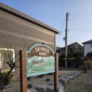 공주목장 | 이천 아이랑 가볼만한곳 동키스타즈 목장｜당나귀 체험 먹이주기 미니동물원 후기