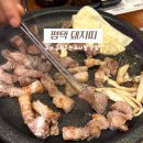 비전동 소로 2-51 | 평택 소사벌맛집 돼지띠, 이베리코 삼겹살에 볶음밥까지
