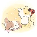 뽀독 이미지