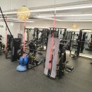 다비드 핏 이미지