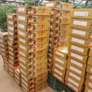 원규농장 이미지