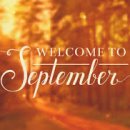 밸리댄스(중급) 이미지