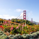 오토카뱅크 이미지