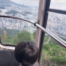 부산 숨은 명소 - 금강공원 케이블카