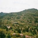 개미정산장식당 이미지