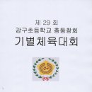 제29회 강구초등학교 총동창회 기별체육대회 이미지