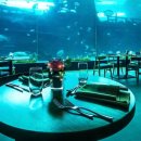 아쿠아타운 이미지