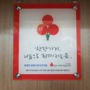 정영희흥해고등어추어탕 Daum카페