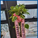 광명화환 심원화원, 정성과 전문성 승부수로 건 광명의 최고 꽃집!
