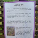 승일농장 | 방림초등학교 36회 회갑기념 2탄 속초,고성 라벤더 축제.