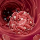 양이양 멍이군 이미지