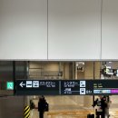 더리터청주 | 삿포로 렌트카 후기 | 자란넷 예약 할인부터 신치토세공항 반납까지