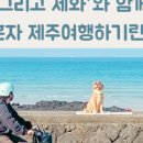 제주도게스트하우스동쪽구좌감성1인숙소그리고세화 이미지