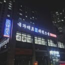 국태 국가대표태권도장 이미지