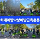 실버인지지도사 이미지