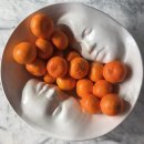 일반농장 이미지