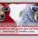 다산동물약국 이미지