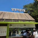 창겸목장 | 평창 삼양목장 삼양라운드힐 양몰이 공연 시간 준비물 및 가족여행 필수 코스 주차정보