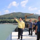 완도19호 이미지