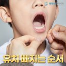 상도행복한아이치과의원 | 어린이 유치 빠지는 순서는? 상도행복한아이치과