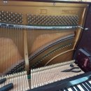 비파음악학원 이미지