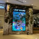 스타애견 이미지