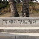 Re: 해파랑길 44코스 (2) : 2026. 2. 01. 이미지