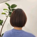 이철헤어커커 신정네거리역점 / 신정네거리역 미용실 단발펌 추천 by 차희 디자이너