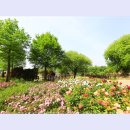 곡성-166 이미지