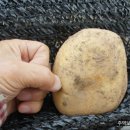 감자창고 이미지