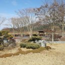 내장산 단풍생태공원 이미지