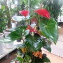 동광모터스 이미지