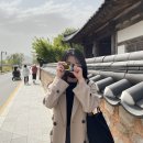 백화사현상소 | [필름카메라] 코닥 일회용 노플래시 카메라 데이라이트 27 / 영주 백화사 필카 인화 후기