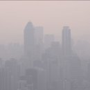 연소자연농장 이미지