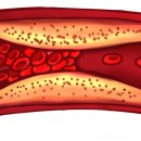 세동한의원 이미지