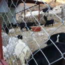 경종농장 이미지