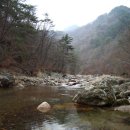 내리5일장 이미지