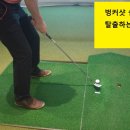 골프신지환 이미지