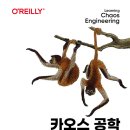 카오스 공학 - 견고한 시스템을 만드는 카오스 공학의 이론과 실제