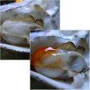 돼지네집 이미지