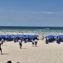 제주 경향신문