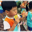 솔로몬유치원 이미지