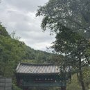 스테이 821 | [천은사 템플스테이]전남 구례/전남 광양/구례 천은사/2일차/카페천은사에서/전남도립미술관/장원회관...