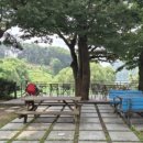 호수정감 이미지