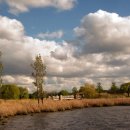 구름산책길 이미지