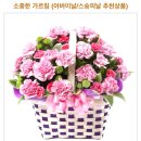 어버이날)<b>박현빈</b> <b>꽃배달</b>서비스